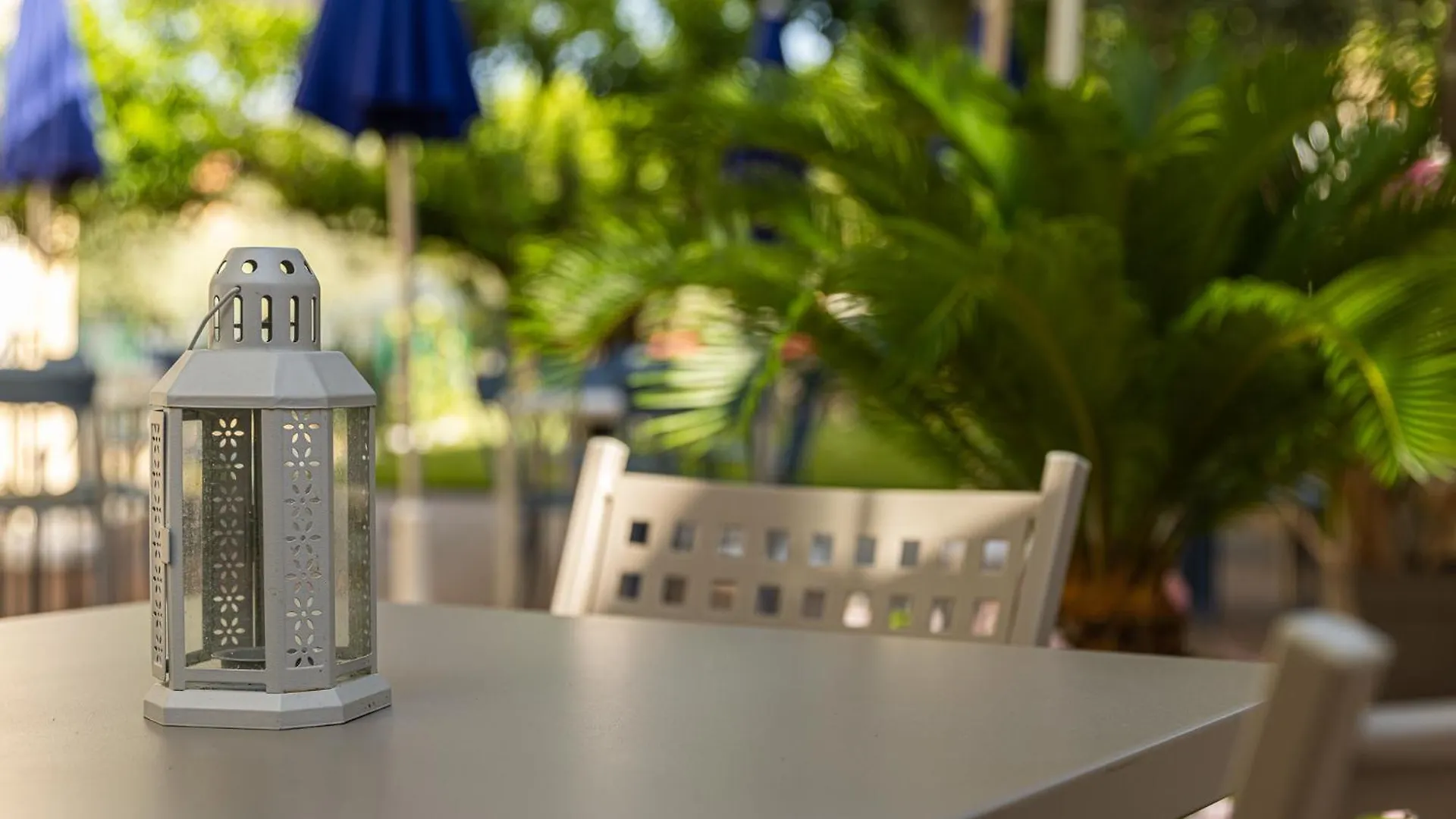 בורדיגרה Hotel Villa Elisa & Spa 3*,  איטליה